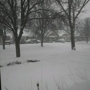 Meet your Posher, Leshan